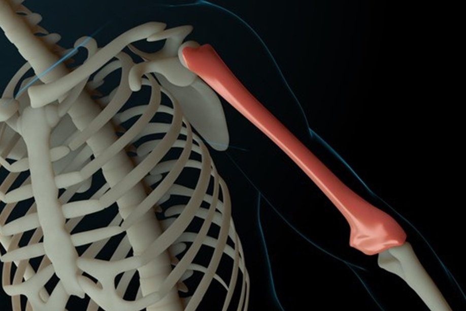 Остеопороз: симптомы и лечение болезни - osteoporoz simptomy i lechenie